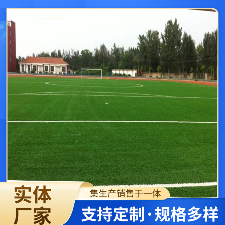 咸阳市塑胶跑道人造草坪 - 哪里好